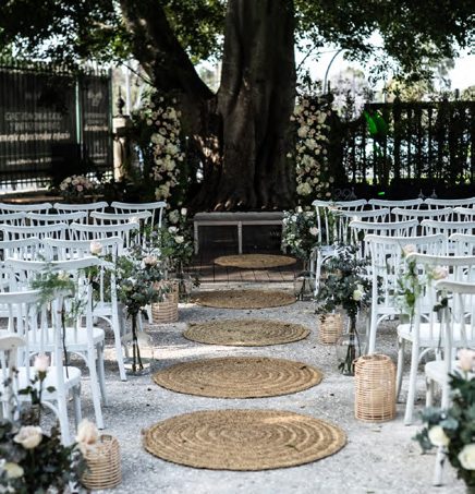 Ceremonia civil con sillas blancas bajo un árbol centenario