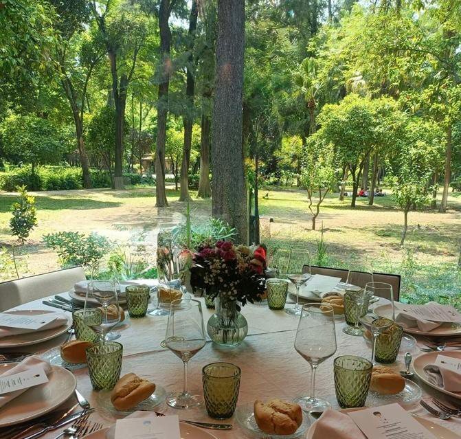 Mesa redonda preparada con vistas a los árboles del Parque de María Luisa