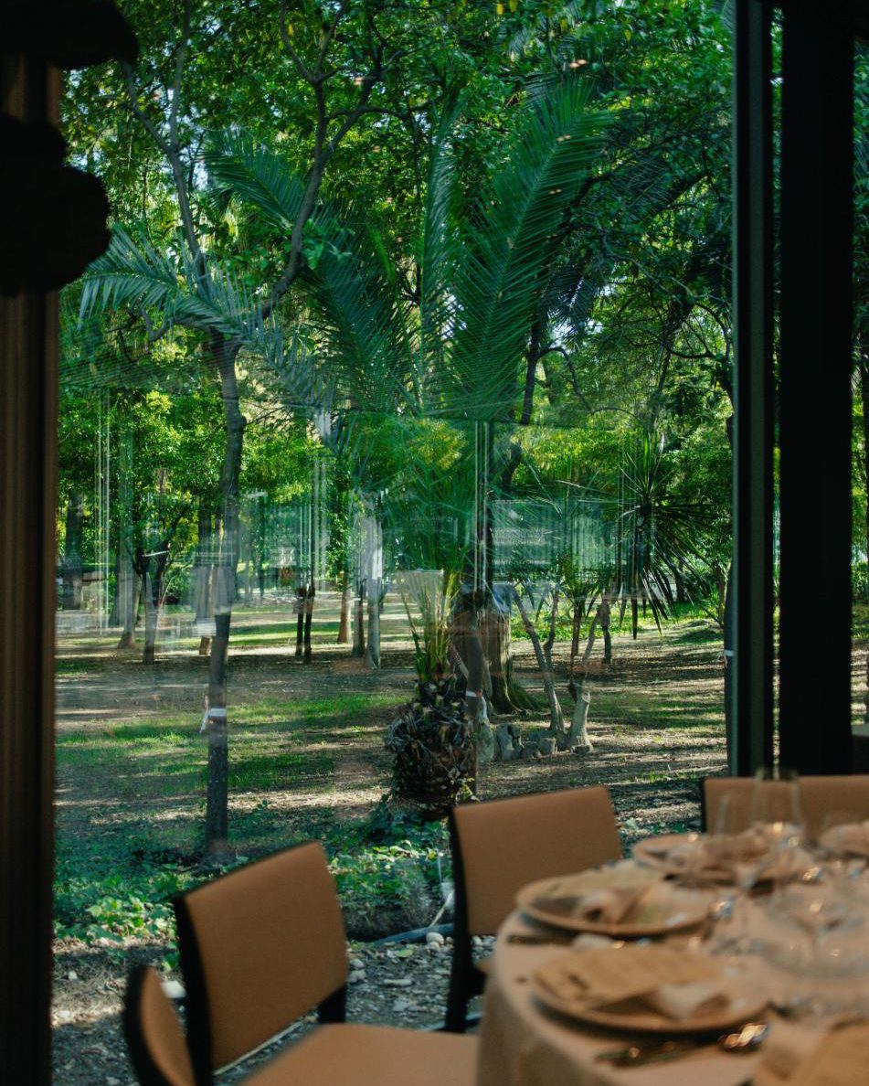 Mesa junto a un ventanal con vistas a las palmeras del parque