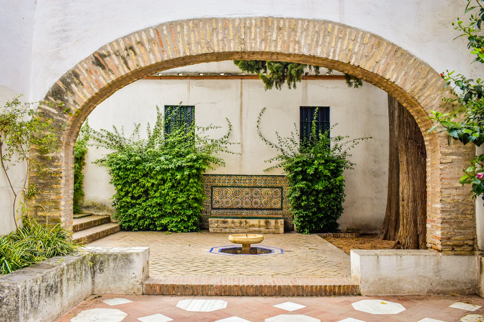 Patio andaluz con arco y plantas